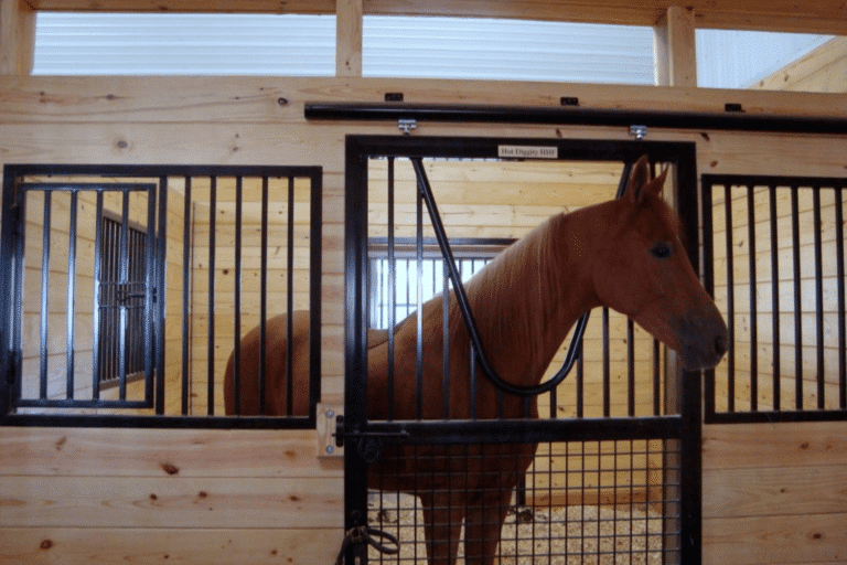 what size should a horse stall be
